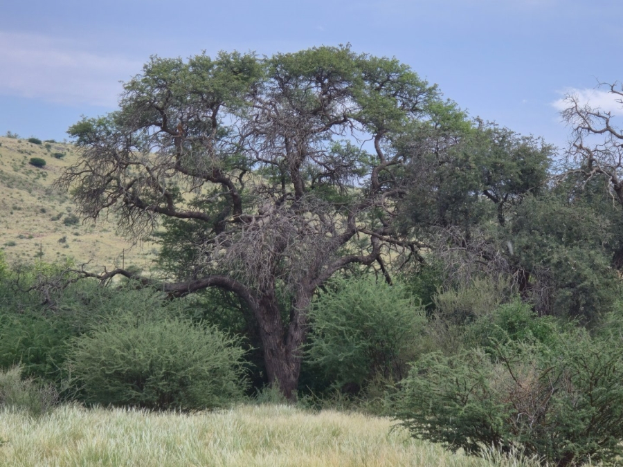 Commercial Property for Sale in Upington Rural Northern Cape